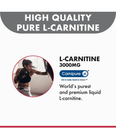 Bricker Labs CARNIBLAST Liquid L-Carnitine 3000mg - Sports Nutrition Energy Supplement with Carnipure Premium L Carnitine - Raspberry 16 fl oz - Buy Online on GoSupps.com