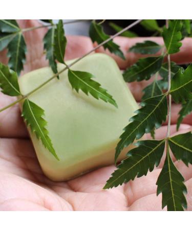 NEEM solid conditioner / 100% Natural // Made in Canada - Muslim Cosmetics - Neem Conditioner - Buy Online on GoSupps.com