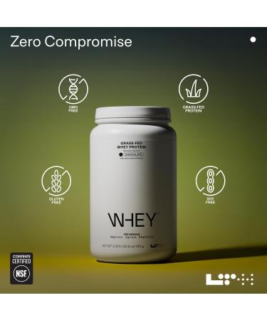 LTH Whey Protein - Trusted by Life Time Members - Grass-Fed Whey Protein Powder - with Amino Acids - Aids Lean Muscle & Recovery - Supports Immune & Liver Health - Chocolate (30 Servings) - Buy Online on GoSupps.com