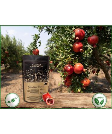 100g Pure Pomegranate Extract Powder - Additive-Free Punica Granatum High Dose Concentrated Natural Vegan Supplement - Buy Online on GoSupps.com
