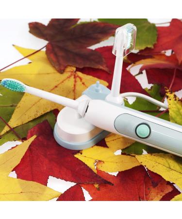 24 Pack Reusable Transparent Toothbrush Covers for Electric Toothbrush Replacement Heads - Buy Online on GoSupps.com