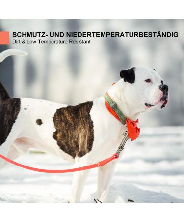 Toozey Waterproof Training Leash for Dogs - 5m/10m/15m/20m Towline with Hand Loop & Mesh Pocket - Robust Neon Orange Leash for All Dog Sizes - Buy Online on GoSupps.com