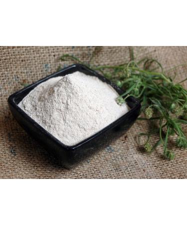 Naturix24 1 x Ground Flea Seed Shells (1 x 1kg)