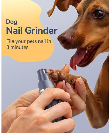 oneisall Dog Clippers Grooming Kit 4 in 1 Quite Cordless Dog Paw Trimmer & Nail Grinders & Small Dog Trimmer for Grooming Pet Clippers Shaver Trimmer for Small Dogs (Blue) - Buy Online on GoSupps.com