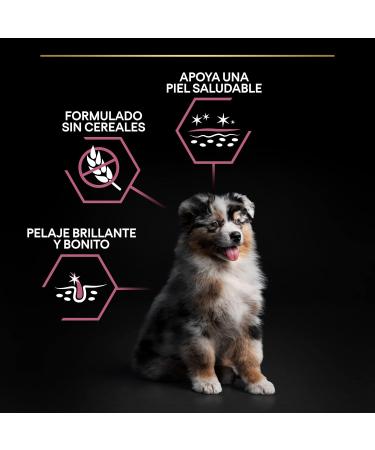 Purina Proplan Medium Puppy Derma cahorro salmon Pack of 1 x 3kg Total 3kg - Buy Online on GoSupps.com