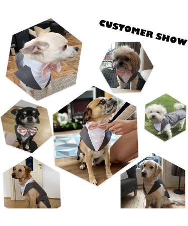 Dog Smoking Suit & Bandana Set - Formal Wedding Party Clothing for Pets | Adjustable Tie Shirt for Birthdays Halloween & Christmas - Gray (L) - Buy Online on GoSupps.com