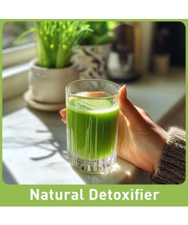 UNLEASH'D ORGANIC Organic Wheatgrass Juice Powder 16oz 100% Pure Superfood, Immune & Energy Boost, Detox Support - Buy Online on GoSupps.com