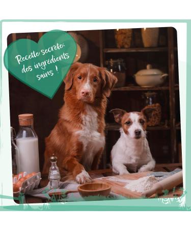 Wild Animal Premium Grain Free Tuna with Sweet Potato & Broccoli Dog Food 1 Pack (1 x 12 kg) - Buy Online on GoSupps.com