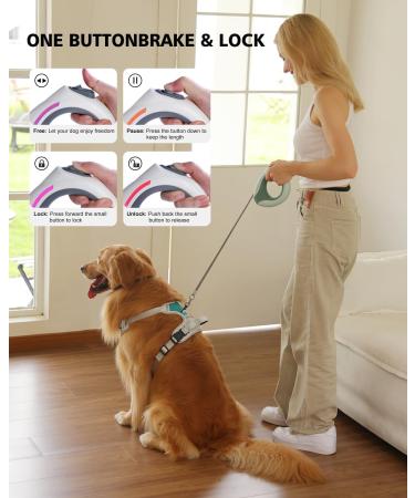 Blanlody Roller Leash for Large Dogs (Up to 80kg) - 3m Leash with Rubberized Handle Water Bowl & Decorative Bags (Green) | Shop Now!  - Buy Online on GoSupps.com