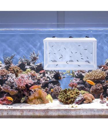 Trinidad Fish Breeding Box - Large Isolation & Nursery Container with Suction Cup for Tropical Guppies - Buy Online on GoSupps.com
