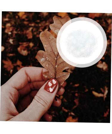 Housoutil Bulk Bud Vases 1 Glass Chip Manicure Flakes 3d Shiny Nail Stickers 0.5X0.3cm transparent - Buy Online on GoSupps.com