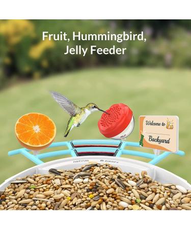 Netvue Multifunction Bird House Stand & Feeder | Versatile Bird Feeding Station for Wild Birds - Ideal for Potions Fruits & Vegetables - Buy Online on GoSupps.com