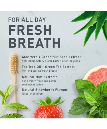 Tanitabs Strawberry Toothpaste Tablets | Fluoride-Free Natural Toothpaste | Zero-Waste Travel Tabs | 62 Tablets, Strawberry Flavor - Buy Online on GoSupps.com