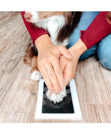 Paw Print Stamp Pad Kit | Pet-Safe Ink | No-Mess Imprint Cards | Pet Memorial Keepsake for Dogs, Cats, and Small Pets - Buy Online on GoSupps.com