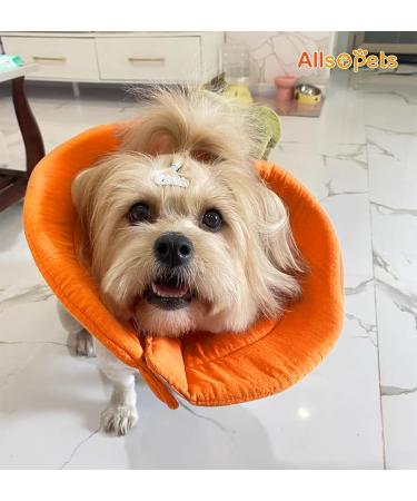 AllSopets Lightweight Protective Cat Collar - Soft Recovery Cone for Surgery & Injuries - Orange for Cats & Puppies - Buy Online on GoSupps.com