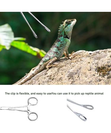 JNAWA Reptile Feeding Clip Pet Raising Feeding Tool Reptile Terrarium Stainless Steel Tongs Tweezers for Snake Lizard Reptile Animal - Buy Online on GoSupps.com