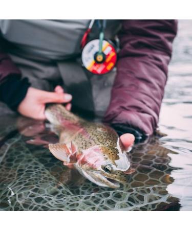 RIO Mainstream Trout Full Sinking Fly Line - Easy Casting 5wt Brown - Buy Online on GoSupps.com