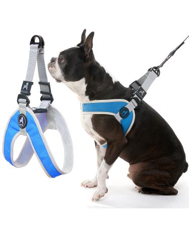 Gooby Simple Step in III Harness - Small Dog Harness with Scratch Resistant Outer Vest - Soft Inner Mesh Harness for Small, Medium Dogs for Indoor, Outdoor Small chest (14.2517") Blue