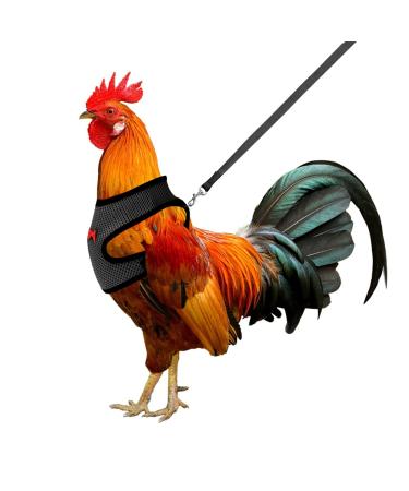 Molain adjustable chicken harness with leash comfortable chicken vest Breathable chicken training dish mesh pet dishes for 2 11 lb (1 5 kg) duck hen hen traning medium (black)