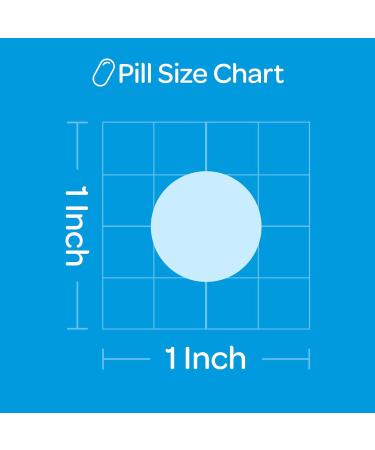 Puritan's Pride Chewable Vitamin C 500mg with Rose Hips - 250 Count - Immune System Support - Buy Online on GoSupps.com