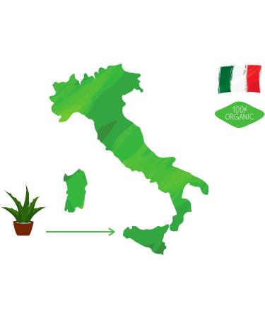  VONDERWEID Organic Aloe Arborescens leaves of Sicilian cultivation in open air | Quality leaves to make Aloe Arborescens juice - Aloe Arborescens Gel and Aloe Padre Zago | (2 kg) - Buy Online on GoSupps.com