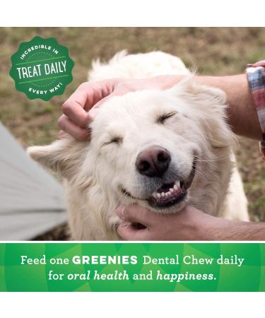 GREENIES Original Large Dog Dental Treats | Natural & Effective Dental Care for 50-100 lb Dogs - Buy Online on GoSupps.com