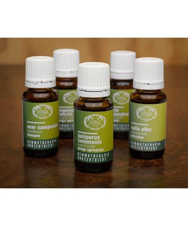 RATHAUS APOTHEKE WIEN Concentrated bud extract - Gemmotherapy - Sambucus nigra - Elderberry - 15 ml - Buy Online on GoSupps.com