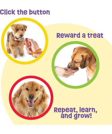 Brightkins Smarty Pooch Training Clicker - American Football Style Dog Clicker for Effective Training | Flexible Hand Loop | Enhance Dog Behavior Solutions - Buy Online on GoSupps.com