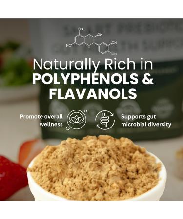 WellVine Premium Smart Prebiotic Gut Health Supplement Powder for Men & Women | Digestive Support & Gut Health With 100% Upcycled Chardonnay Grapes | Plant-Based Gluten and Allergen-Free | 4.75Oz - Buy Online on GoSupps.com