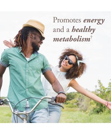 Garden of Life mykind Organics Vitamin B Complex 30 Tablets - Vegan B Complex with Folate, B12, Niacin, B6, Biotin - Organic Whole Food Supplement for Metabolism & Energy - Buy Online on GoSupps.com