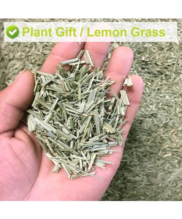 Flower 2 (35g-Lemongrass) - Buy Online on GoSupps.com