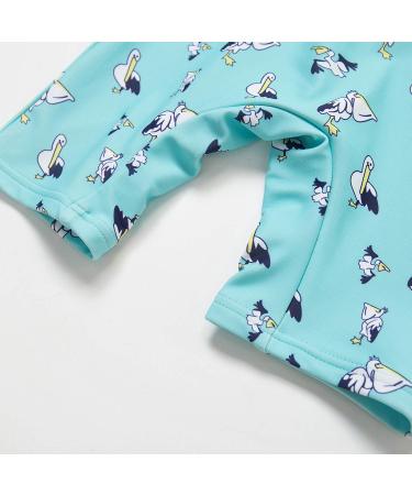 Bonverano Baby Boys Swimsuit UPF 50+ Long-Sleeve Pelican 6-9 Months - Buy Online on GoSupps.com