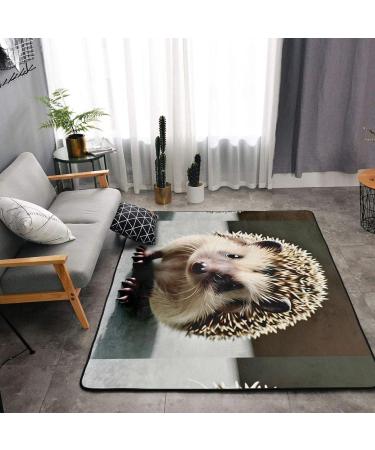 Cute Hedgehog Flannel Non-Slip Floor Mat | 63x48 Inches | Comfortable & Lint-Free | Ideal for Home Decor & Pressure Relief | International Shipping Available - Buy Online on GoSupps.com