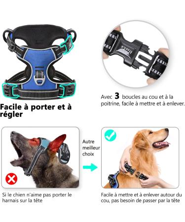 Buy Heele No-Pull Dog Harness for Large Dogs - Adjustable Reflective Breathable with Padded Handle - XL Blue (Breast Size: 53-97cm) - Buy Online on GoSupps.com