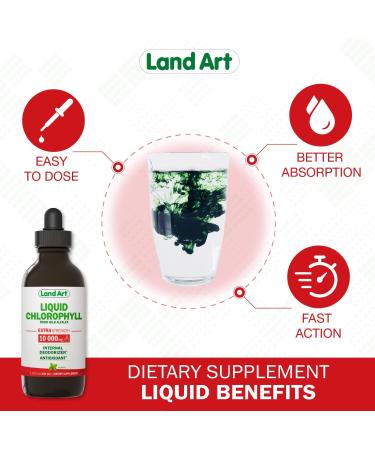 Extra Strength Mint Flavored Liquid Chlorophyll Drops | Cold Extracted from Wild Non-GMO Alfalfa | Detox & Alkaline | Natural Body Deodorant | Antioxidant | 3.38 fl oz - Buy Online on GoSupps.com