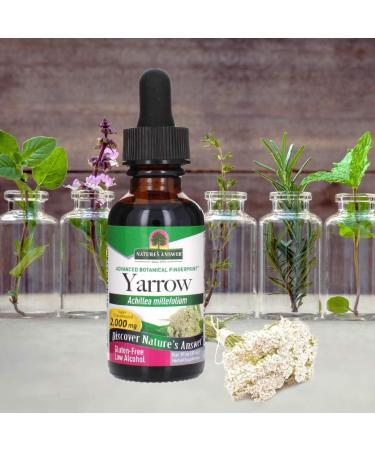 Nature's Answer Yarrow Flowers Dried Herb 1oz | Organic Alcohol | Anti-Inflammatory & Digestive Support - Buy Online on GoSupps.com