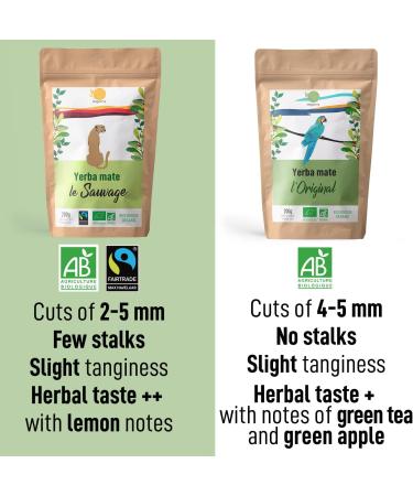 Origeens Organic Yerba Mate 200g - Unsmoked Leaf, Stem-Free | Energy & Detox Tea - Buy Online on GoSupps.com