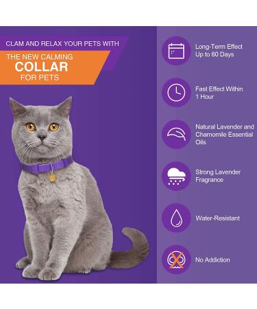 4 Pcs Lavender Scent Calming Cat Collar Set | Adjustable & Relaxing for Cats and Puppies | Reduce Stress & Anxiety | Up to 15 Inches | Purple & Gold - Buy Online on GoSupps.com