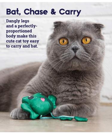 Petstages Toss N Dangle Frog - Interactive Cat Toy with Catnip | Fun Frog Design for Happy Cats - Shop Internationally! - Buy Online on GoSupps.com