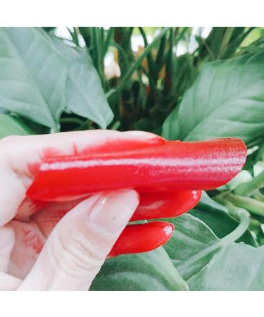 Lipstick paper Old Chinese lipstick paper Chinese lipstick paper Old Chinese makeup rouge paper waterproof red lip gloss point lipstick paper with red box for daily life - Buy Online on GoSupps.com