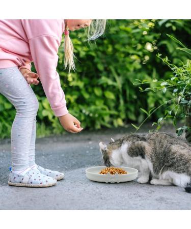 Cat Bowl Silicone Cat Feeding Bowl Cat Water Bowl Eco Friendly Cat Food Bowl Cat Milk Dish Pet Feeding Bowl Flat Bowls for Kittens and Small Animals Wide Cat Food Water Dish (Grey) - Buy Online on GoSupps.com