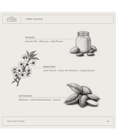 A LA MAISON Sweet Almond Natural Hand Wash Made with Essential Oils - Biodegradable Plant-Based Vegan Cruelty-Free (33.8 Fl Oz Refill 1 Pack) - Buy Online on GoSupps.com