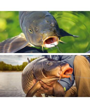 SEAOWL Carp Fishing Hair Rigs | High Carbon Steel Barbed Hooks | Rolling Swivel Boilies | 24 Pcs with 2 Card Boilie Bait Stops | 2 Needles | 4 Sizes 4 - Buy Online on GoSupps.com