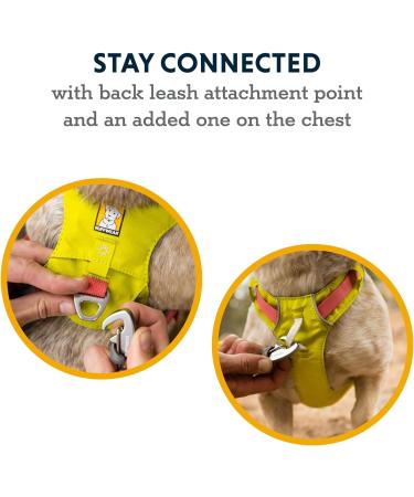 Ruffwear Hi & Light Dog Harness - No Pull Fully Adjustable Lightweight Sage Green (XS 43-56cm) | International Shipping - Buy Online on GoSupps.com