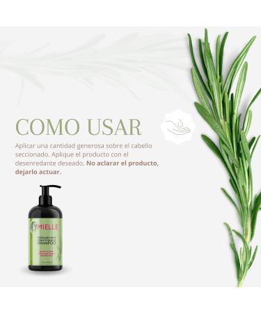 Mielle Rosemary Mint Strengthening Shampoo & Scalp Oil Gift Set - Best Deal for Stronger Hair & Scalp Care - International Shipping Available - Buy Online on GoSupps.com