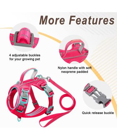 Escape Proof Cat Harness and Leash Set with ID Tag Pocket - X-Small Pink - Buy Online on GoSupps.com