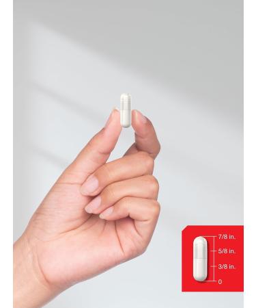 Horbaach L Glutamine Capsules 1000mg | 180 Powder Pills | Supplement for Women and Men | Pre Workout & Post Workout | Non-GMO & Gluten Free - Buy Online on GoSupps.com