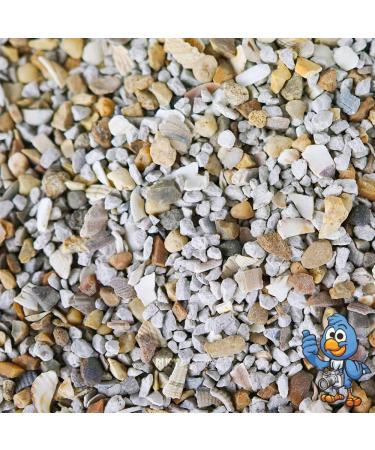 BusyBeaks Mixed Poultry Grit | Premium Quality Natural Feed Mix | Added Oyster Shell | Rich in Vitamins and Calcium | A Nutritious Supplement Food | Strong Beaks Tough Bones & Large Eggs (2.5kg) 2.5 kg (Pack of 1) - Buy Online on GoSupps.com