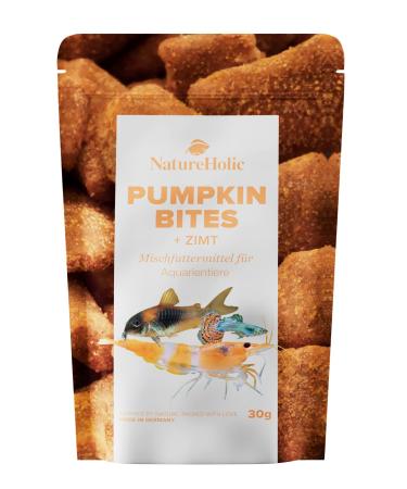 NatureHolic - Bites la Citrouille et la Cannelle - 30g