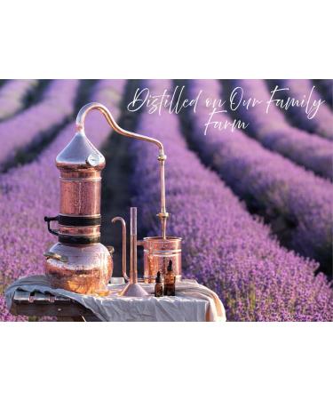Lavender Hydrosol Floral Water - Distilled on Our Lavender Farm Facial Toner Aromatherapy Linen & Room Mist (32 oz (1/4 Gallon)) - Buy Online on GoSupps.com